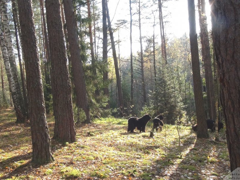 Фотография № 165838