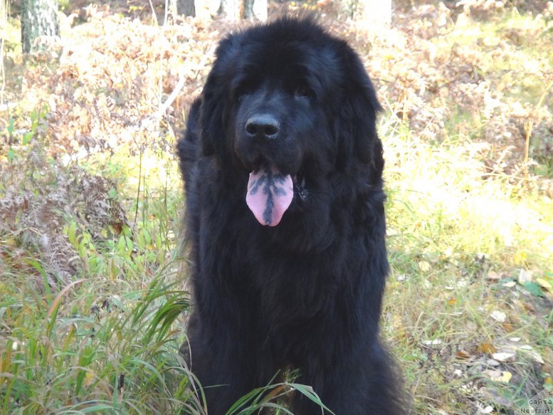 Фотография № 165847