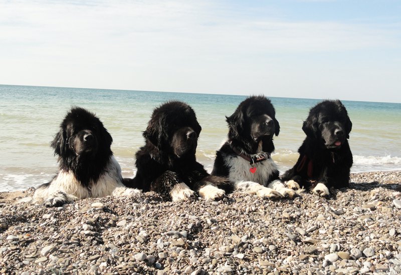 Фотография № 165848