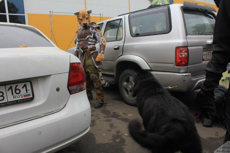 Фотография № 165864