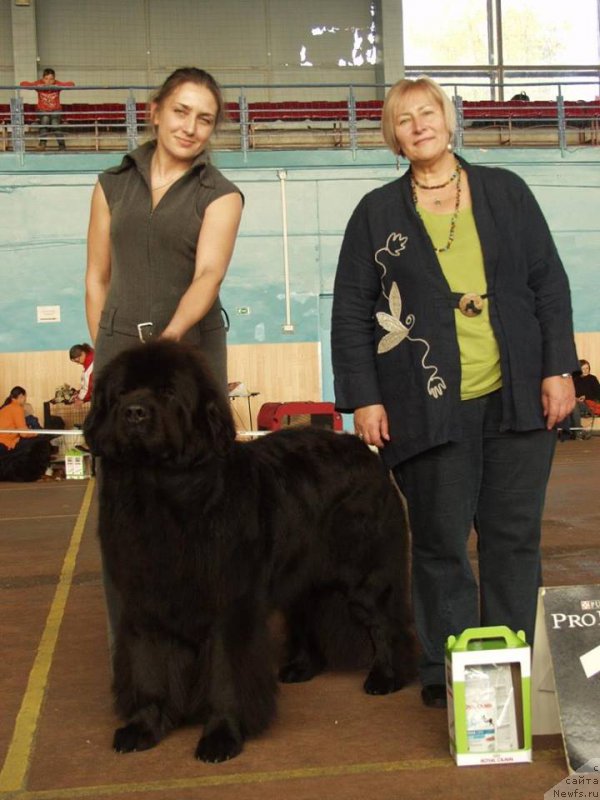 Фотография № 165866