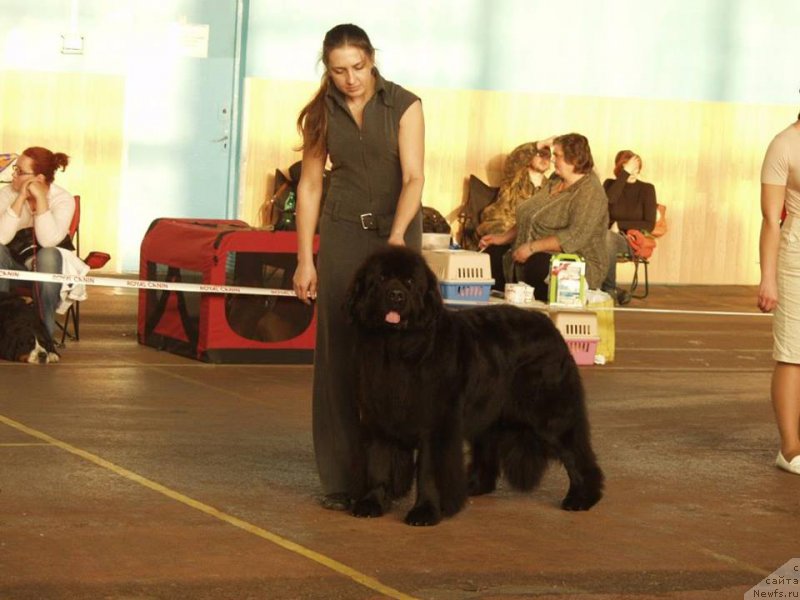 Фотография № 165867