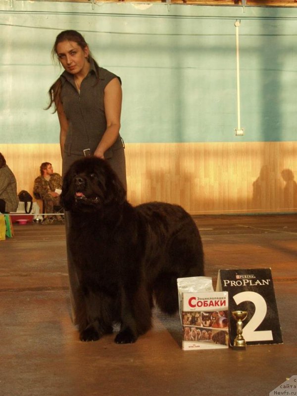 Фотография № 165868