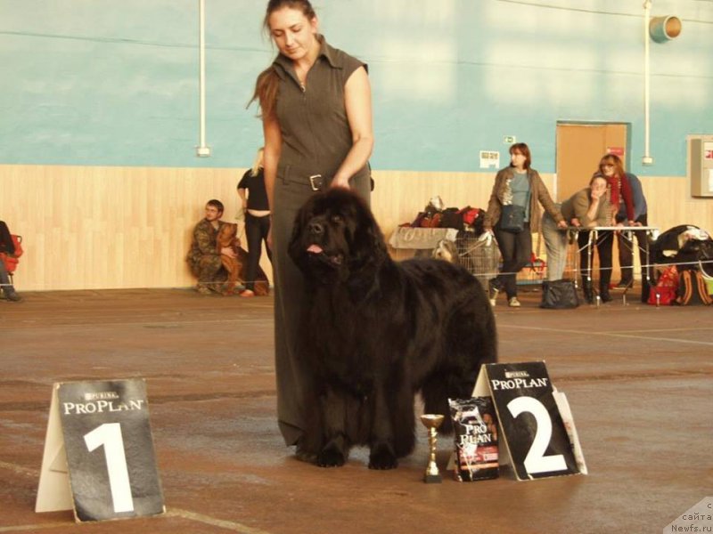 Фотография № 165869