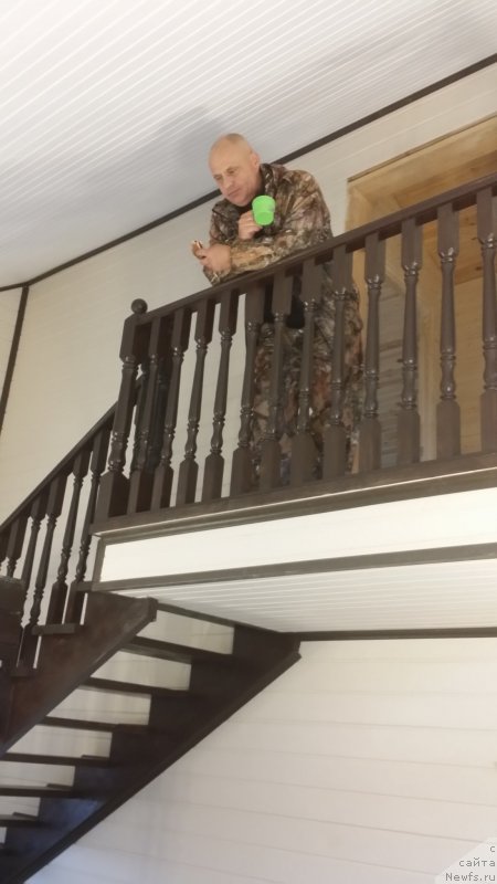 Фотография № 165873