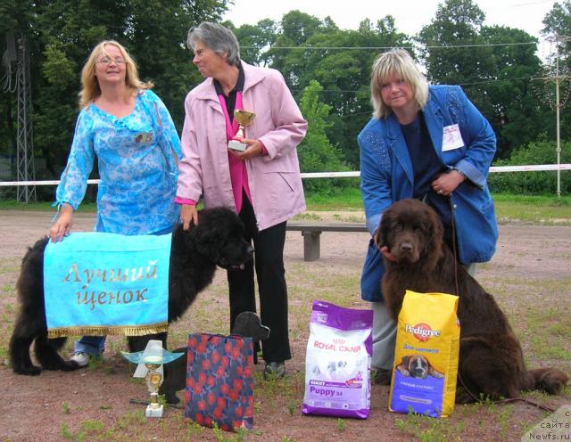 Фото: 1 - ЛЩ  Kloofbear's My Dream for Sent Djons, и 2 - Фанньюф Госпожа Удача