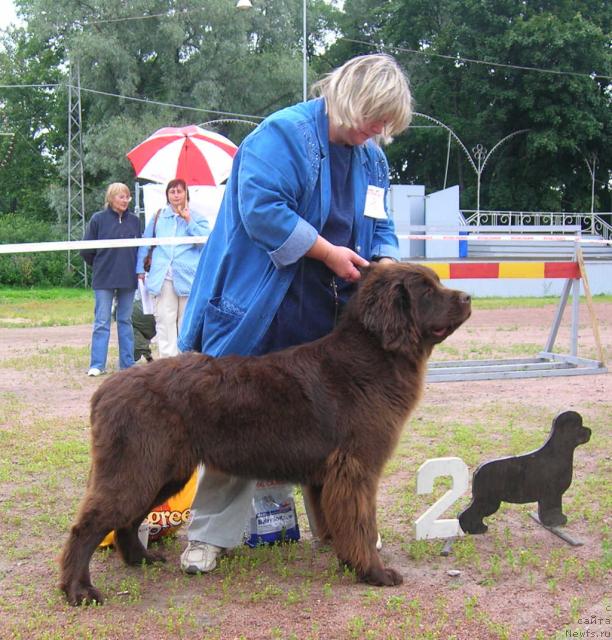 Фото: Фанньюф Госпожа Удача