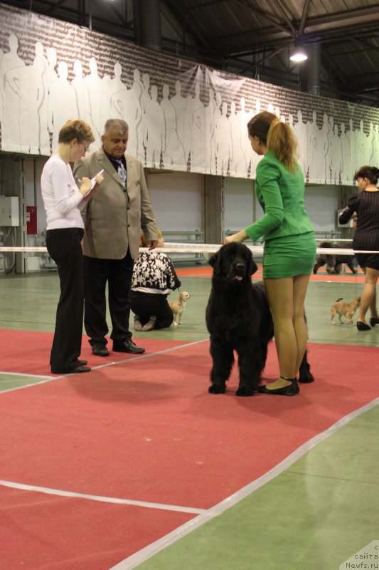 Фотография № 165903