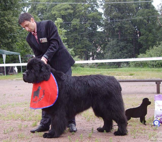 Фотография № 16591