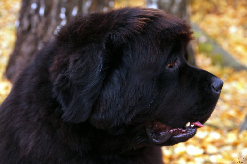 Фотография № 165938