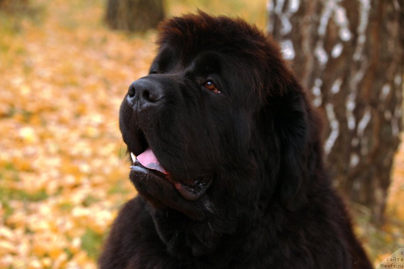 Фотография № 165939