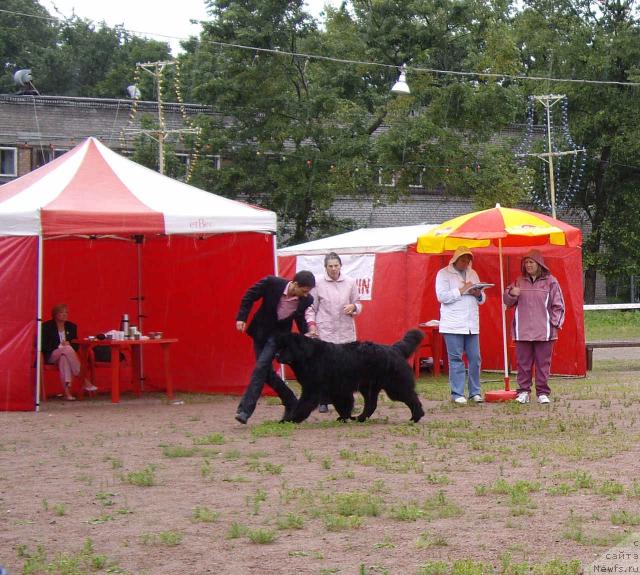 Фотография № 16594