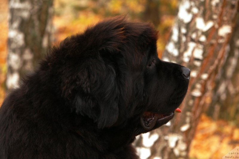 Фотография № 165940