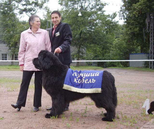 Фотография № 16595