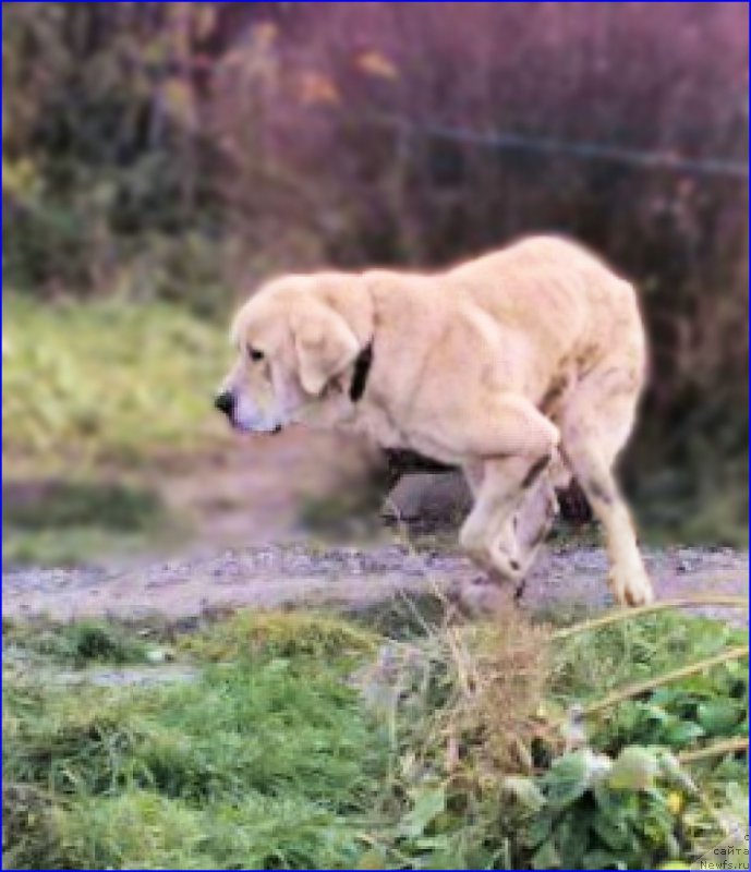 Фотография № 165952