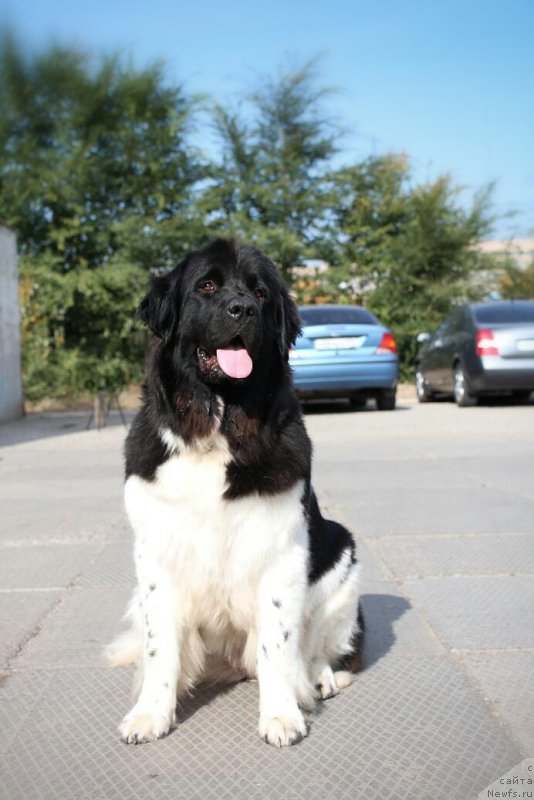 Фотография № 165959