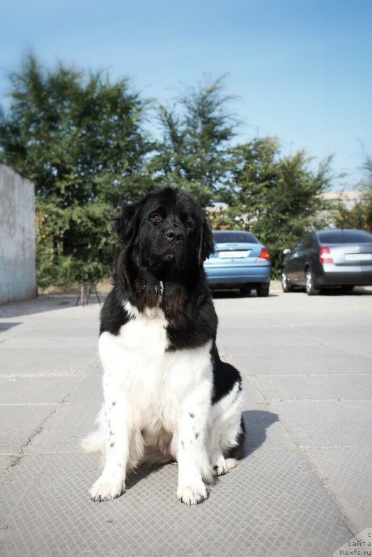 Фотография № 165960