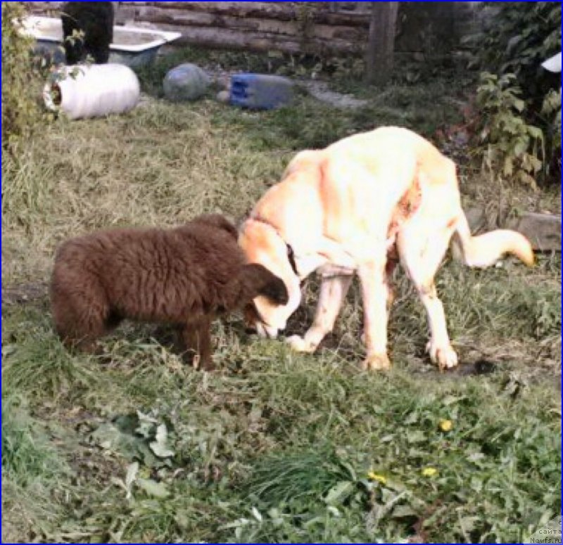 Фотография № 165966