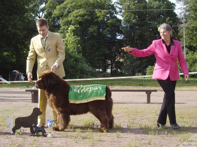 Фотография № 16597