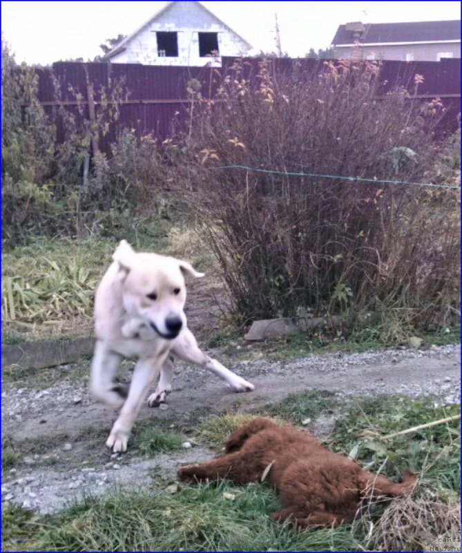 Фотография № 165978