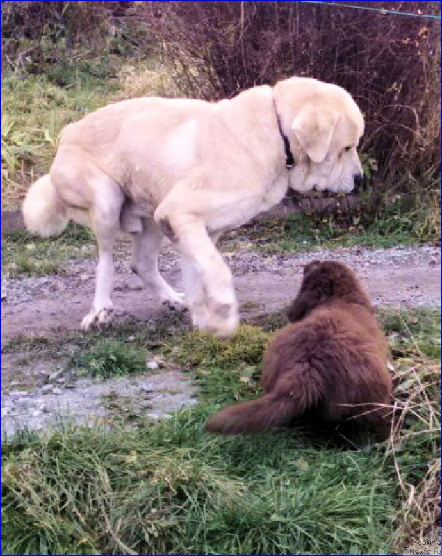 Фотография № 165980