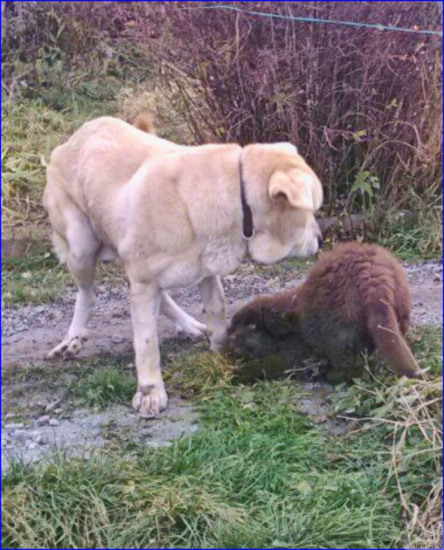 Фотография № 165991