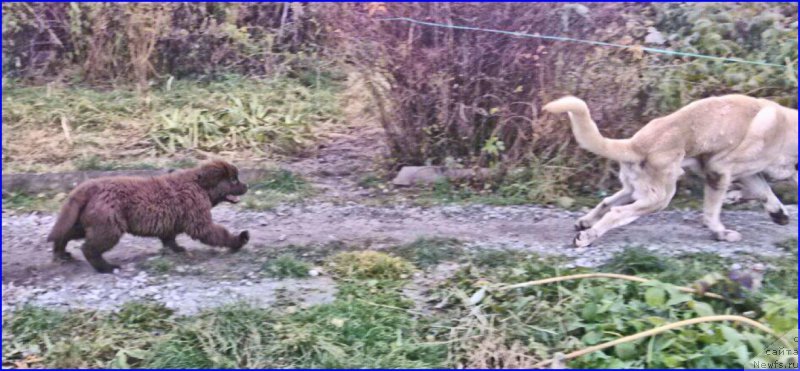 Фотография № 165996