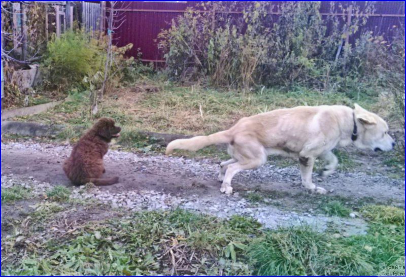 Фотография № 165997