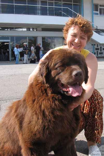 Фото: ньюфаундленд Ёко Гава с Берега Дона