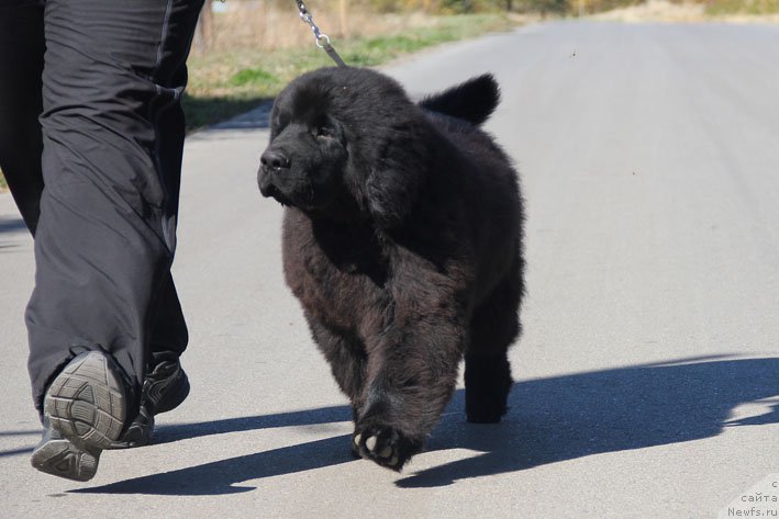 Фотография № 166010