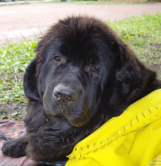 Фотография № 16602