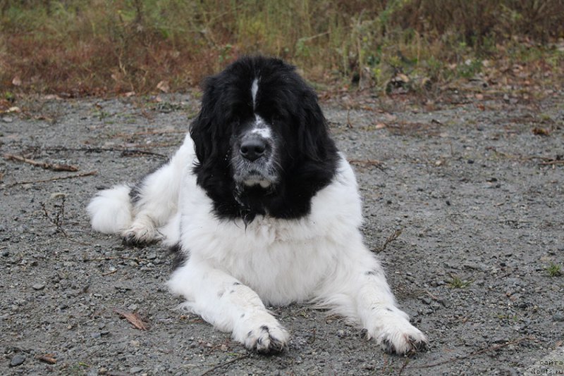 Фотография № 166030