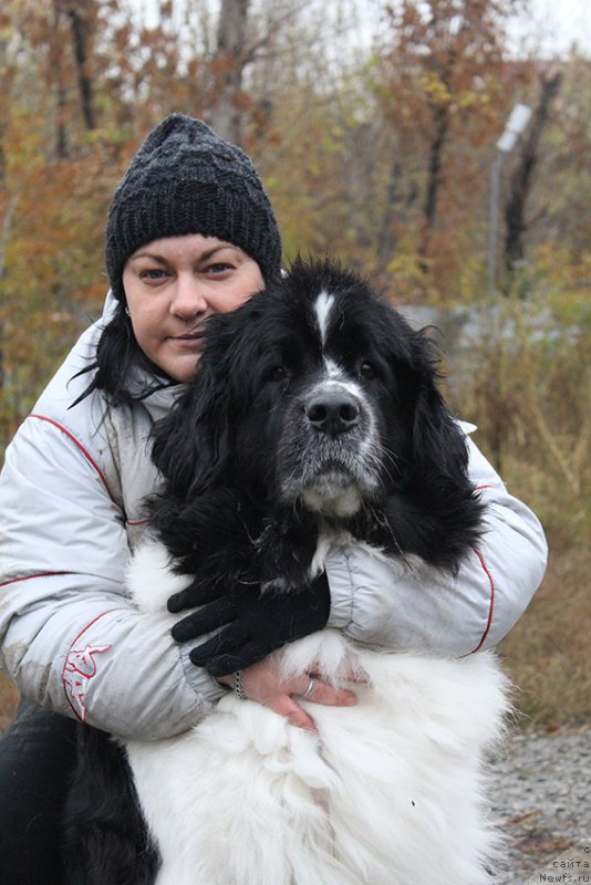 Фотография № 166031