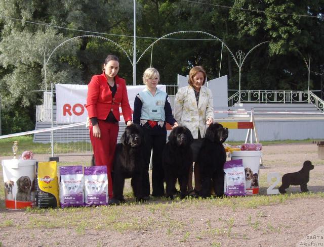 Фото: Питомник Бегущая по волнам
