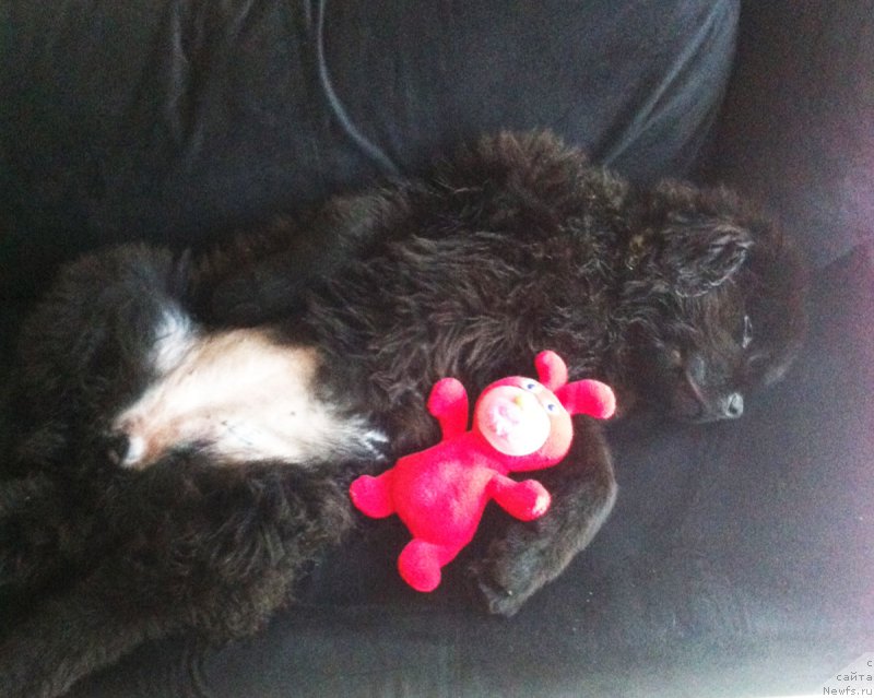 Фотография № 166066