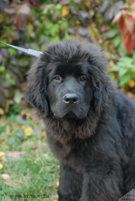 Фотография № 166124