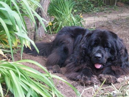 Фотография № 166133