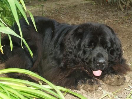 Фотография № 166134