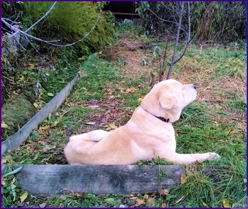 Фотография № 166140