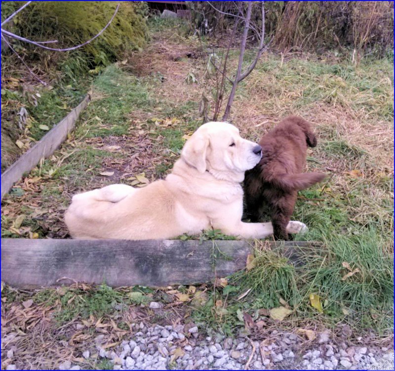 Фотография № 166142