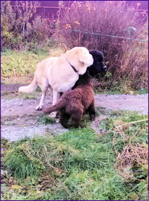 Фотография № 166149