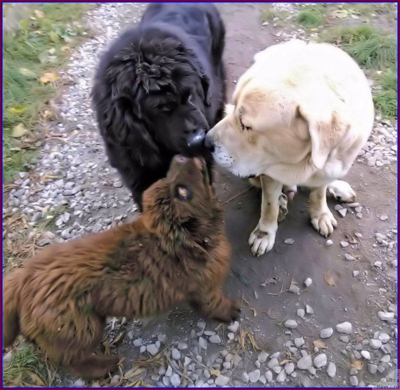 Фотография № 166150