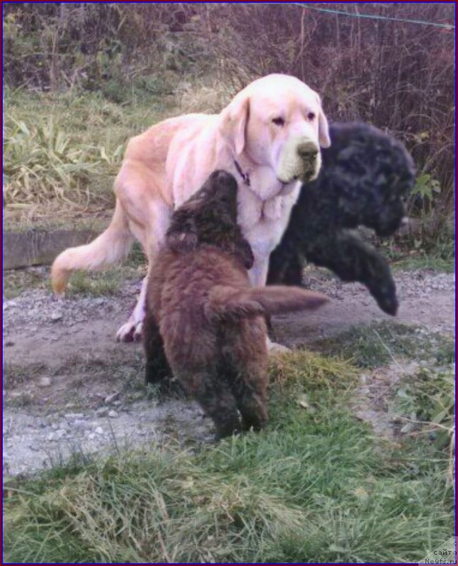 Фотография № 166151