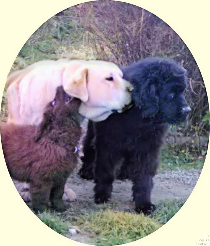 Фотография № 166152