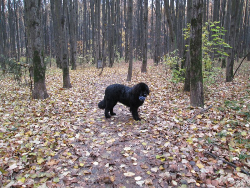 Фотография № 166155