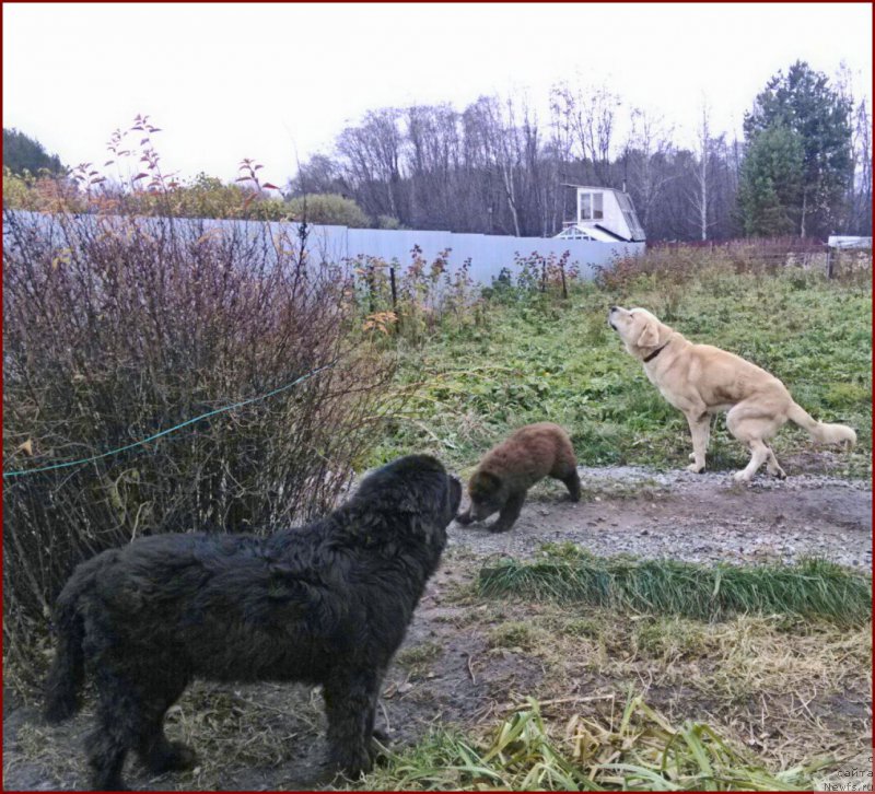 Фотография № 166162