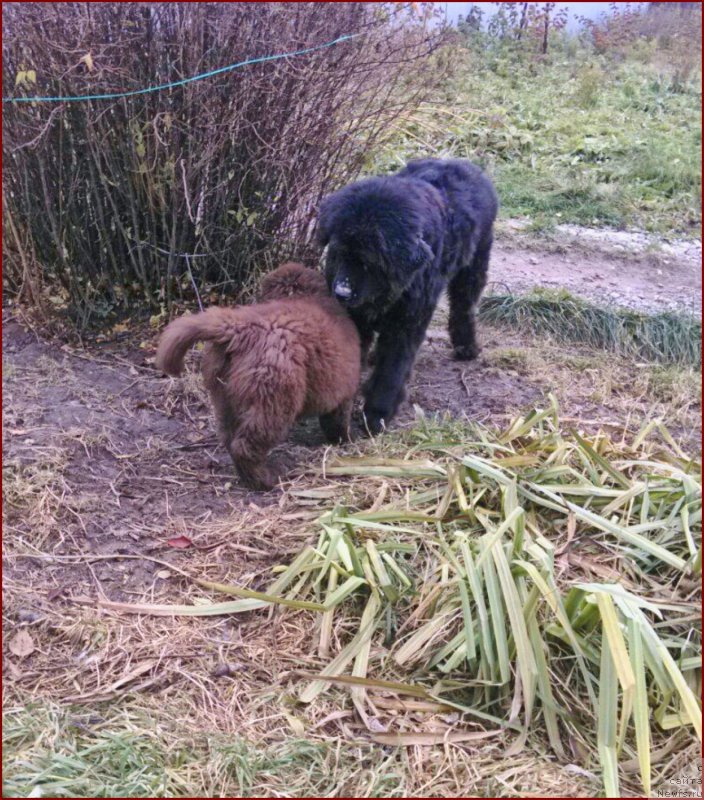 Фотография № 166163