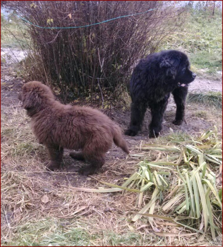 Фотография № 166164