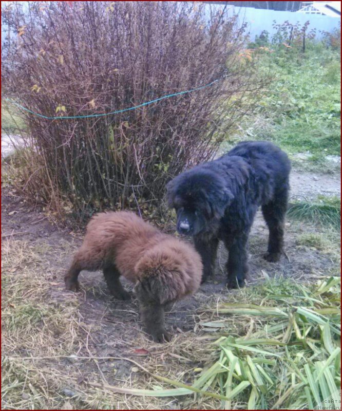 Фотография № 166165