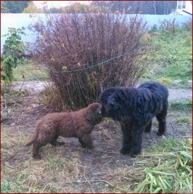 Фотография № 166166